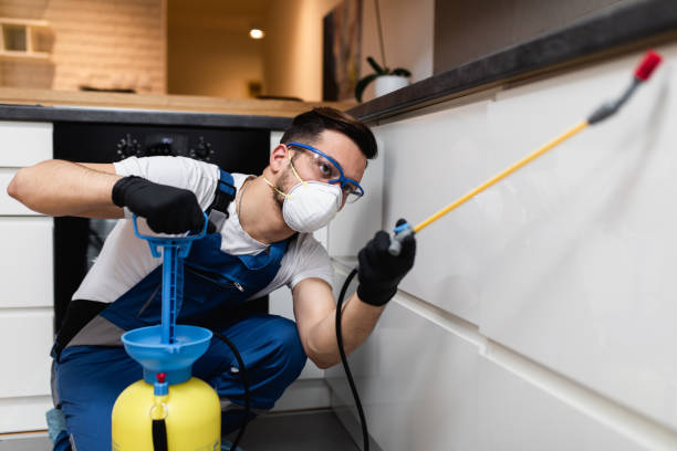 Best Pest Control Near Me in West Buechel, KY