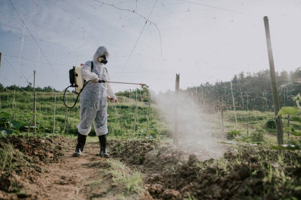 Best Commercial Pest Control Services  in West Buechel, KY
