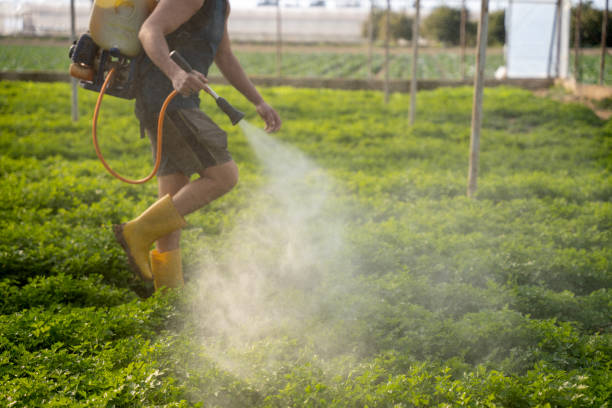 Best Pest Removal Services  in West Buechel, KY